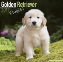 Image for Golden Retriever Puppies Calendar 2019