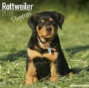 Image for Rottweiler Puppies Calendar 2019