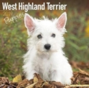 Image for West Highland Terrier Puppies Calendar 2019