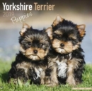 Image for Yorkshire Terrier Puppies Calendar 2019