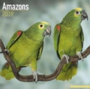 Image for Amazons Calendar 2019