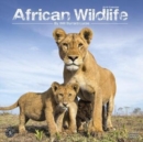 Image for African Wildlife Calendar 2019