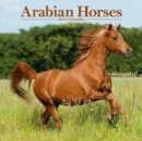 Image for Arabian Horses Calendar 2019