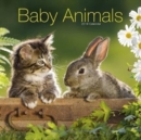 Image for Baby Animals Calendar 2019
