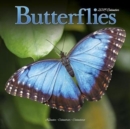 Image for Butterflies Calendar 2019