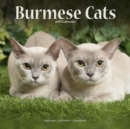 Image for Burmese Cats Calendar 2019