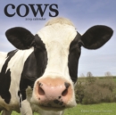 Image for Cows Calendar 2019