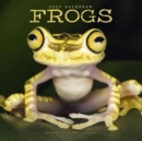 Image for Frogs Calendar 2019