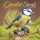 Image for Garden Birds Calendar 2019