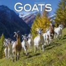 Image for Goats Calendar 2019