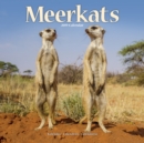 Image for Meerkats Calendar 2019