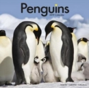 Image for Penguins Calendar 2019