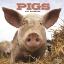 Image for Pigs Calendar 2019