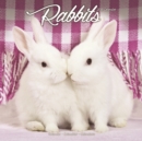 Image for Rabbits Calendar 2019