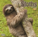 Image for Sloths Calendar 2019