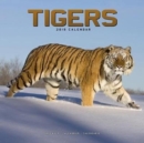 Image for Tigers Calendar 2019