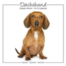 Image for Dachshund Studio Calendar 2019