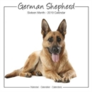 Image for German Shepherd Studio Calendar 2019
