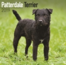 Image for Patterdale Terrier Calendar 2019