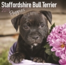 Image for Staffordshire Bull Terrier Puppies Calendar 2019