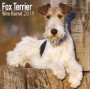 Image for Fox Terrier Wire Haired Calendar 2019