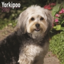Image for Yorkipoo Calendar 2019