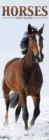 Image for Horses Slim Calendar 2019