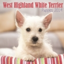 Image for West Highland White Terrier Puppies M 2019