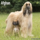 Image for Afghan Calendar 2020