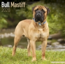 Image for Bull Mastiff Calendar 2020