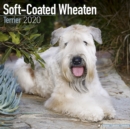 Image for Soft Coated Wheaten Terrier Calendar 2020