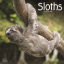 Image for Sloths Calendar 2020