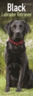 Image for Black Labrador Retriever Slim Calendar 2020