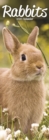 Image for Rabbits Slim Calendar 2020