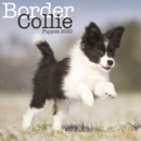 Image for Border Collie Puppies Mini Square Wall Calendar 2020