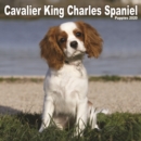 Image for Cavalier King Charles Spaniel Puppies Mini Square Wall Calendar 2020