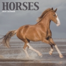 Image for Horses Mini Square Wall Calendar 2020