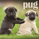 Image for Pug Puppies Mini Square Wall Calendar 2020