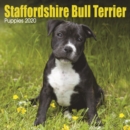 Image for Staffordshire Bull Terrier Puppies Mini Square Wall Calendar 2020