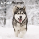 Image for Alaskan Malamute 2021 Wall Calendar