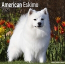 Image for American Eskimo 2021 Wall Calendar