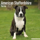 Image for American Staffordshire Terrier 2021 Wall Calendar