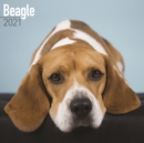 Image for Beagle 2021 Wall Calendar