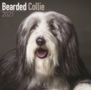 Image for Bearded Collie 2021 Wall Calendar