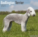 Image for Bedlington Terrier 2021 Wall Calendar