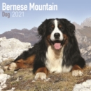 Image for Bernese Mountain Dog 2021 Wall Calendar