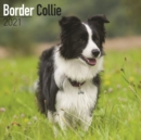 Image for Border Collie 2021 Wall Calendar