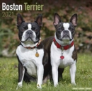 Image for Boston Terrier 2021 Wall Calendar