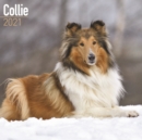 Image for Collie 2021 Wall Calendar