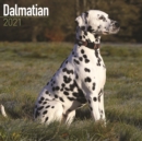 Image for Dalmatian 2021 Wall Calendar